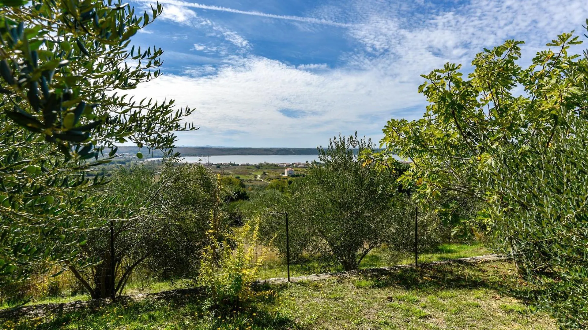 Apartment Barrierefreie Wohnung Mit Aussicht Razanac